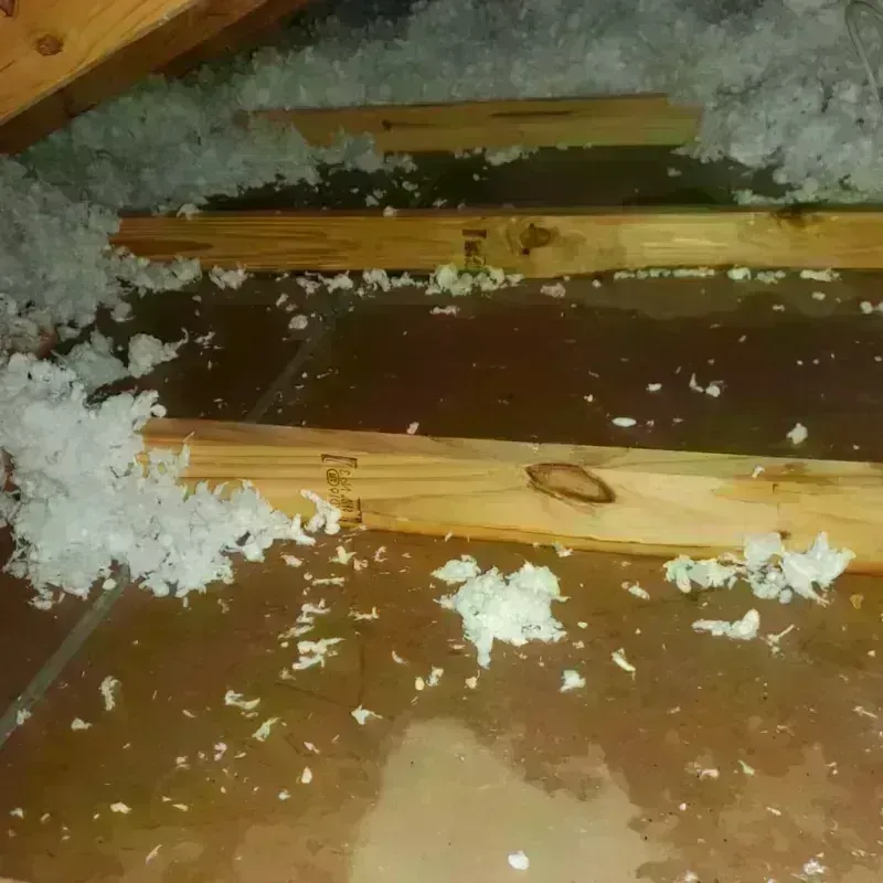 Attic Water Damage in Big Horn County, MT