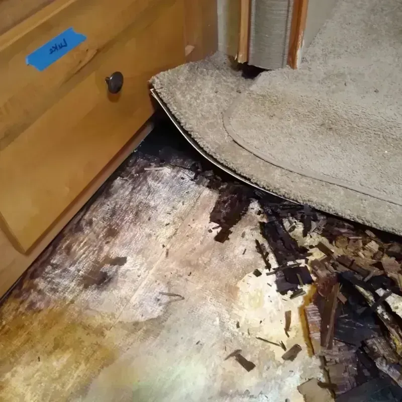 Wood Floor Water Damage in Big Horn County, MT